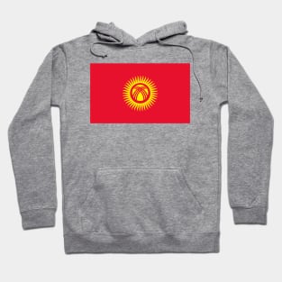 Flag of Kyrgyzstan Hoodie